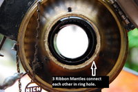 1439377233-DSC_5611_resize_resize_resize.JPG