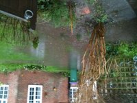 1452624086-image.jpg