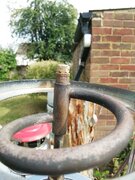 IMG_20210906_140855.jpg