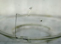 1455876785-IMG_9268.jpg
