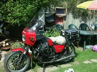 1456741039-Guzzi_006__Small_.JPG