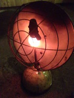 1457169606-IMG_2231_opt.jpg