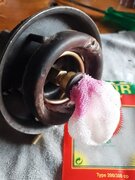 IMG_20220423_120844.jpg