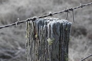 DSC00407.JPG