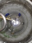 IMG_20220805_173651.jpg
