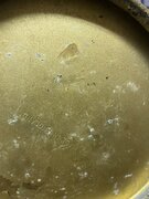 E381376A-4E20-4DE8-AD82-8B1D44F581E3.jpeg