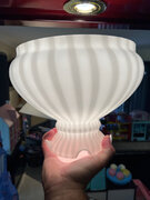 IMG_2181.jpeg