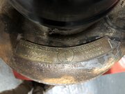 IMG_8253.jpeg