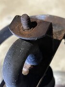 IMG_2755.jpeg