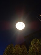 IMG_20230904_203010.jpg