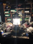 IMG_5960.jpeg