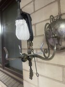 IMG_1824.jpeg