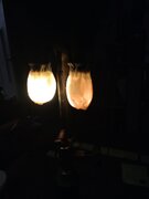 IMG20240405170216.jpg