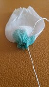 IMG-20231230-WA0015.jpeg