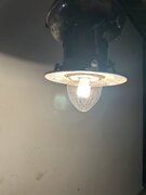 IMG_2249.jpeg