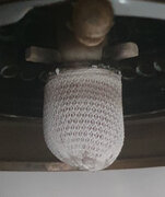 E&G Sinumbra Invert No 5 lamp rgid mantle.jpg