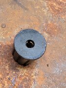 tilley spring (2).jpg