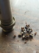 IMG_2471.jpeg