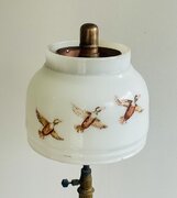 IMG_6991.jpeg