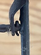 IMG_9124.jpeg