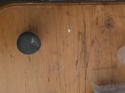 20260818_080641.jpg