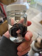 20260822_085951.jpg