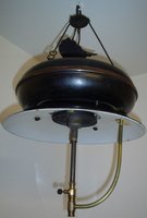 1342477935-IL-33___IL-34_001_opt.jpg