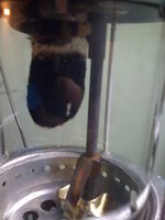 1344780594-IMG_0395.JPG