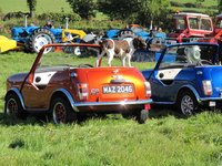 1349633315-IMG_3538.jpg