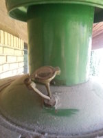 1430901811-Globe_Ljuset_062_opt.jpg