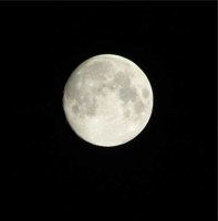 1354131268-IMG_0797.JPG