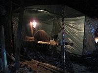 1360098706-IMG_1704.JPG