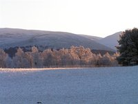 1362997612-0030__Small_.JPG
