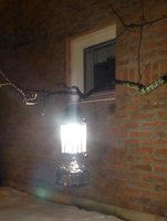 1453743965-Pinchard_lantern_hanging_on_a_branch_of_an_apple_tree.jpg