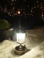 1453743984-Pinchard_lantern_in_snow_before_a_hazle_bush_with_lights.jpg