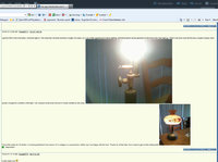 1363337516-fel.jpg