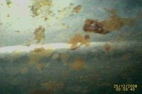 1364411498-Bore_c.jpg