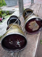 1371293149-h__ngsel_009_opt.jpg