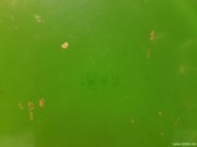 20180811_124640_kl.jpg