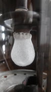 20180918_001514.jpg