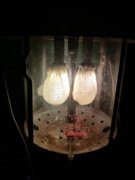 2019-02-01 21.19.22.jpg