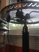 F6E189D9-0A4C-4BAB-86E3-3B0F66D8CA8D.jpeg