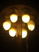 DSC02491.JPG