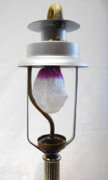 Phoebus 40  lamp with unlit mantle.jpg