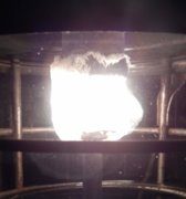 20190920-046 - 1955 Tilley - Mantle Test.JPG