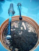Fuel tank residue from 1962 Px 829.JPG
