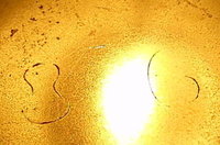 1394038174-Scratched_numbers_002_opt.jpg