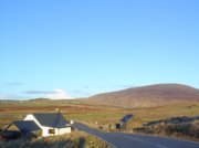 WINTER SUNSHINE 23,12,2019-4.jpg