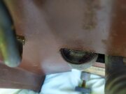 IMG_20200530_160147.jpg