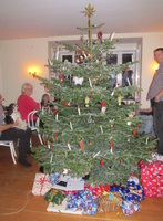 1419432261-Jul_2011__16__opt.jpg